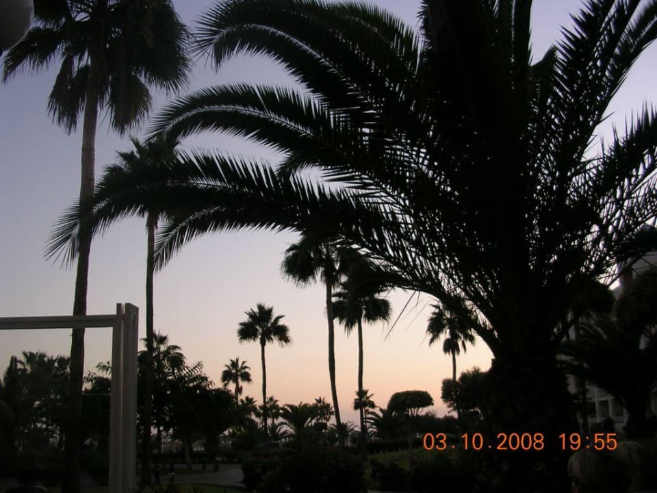 Blick abends von der Bar Hotel Riu Gran Canaria
