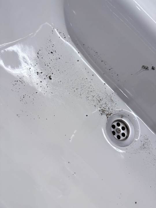 Zimmer Seven Seas Palmeras Bay Alanya