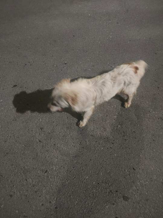 Sonstiges Narcia Resort Side