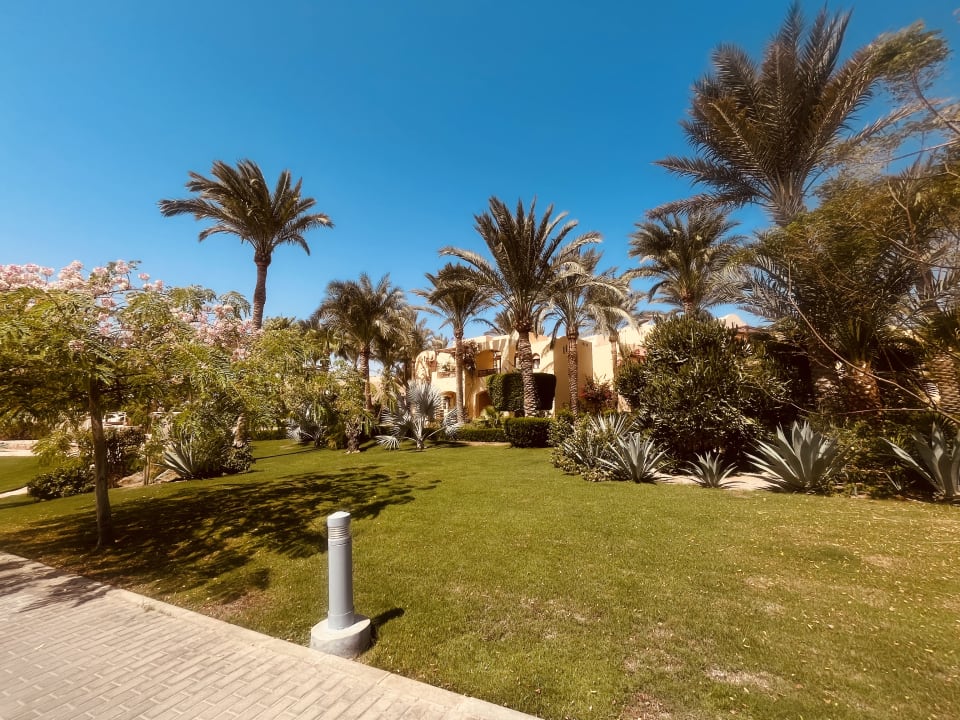 Gartenanlage Steigenberger Coraya Beach - Adults only