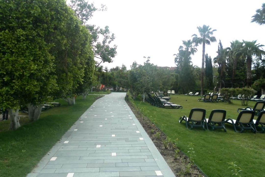 Garten mit Liegen Club Grand Side
