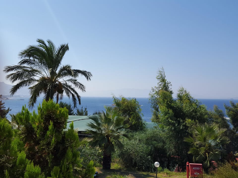 Meerblick  Yasmin Resort Bodrum