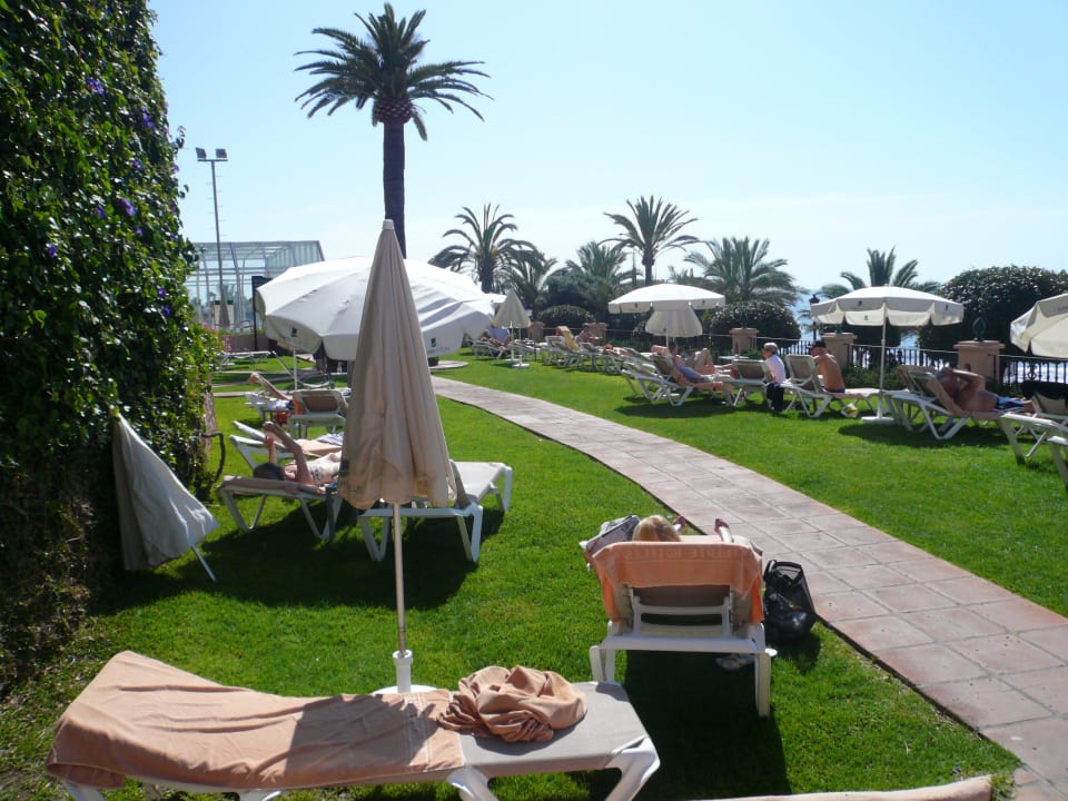 Liegen auf dem Rasen Hotel El Fuerte Marbella