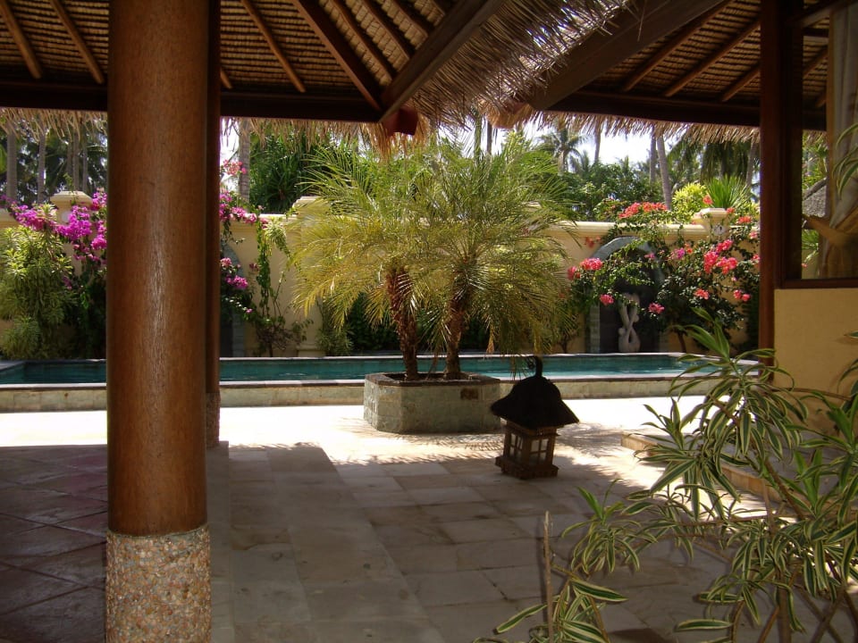 Blick vom Lounge-Sofa zum Pool Kura Kura Resort