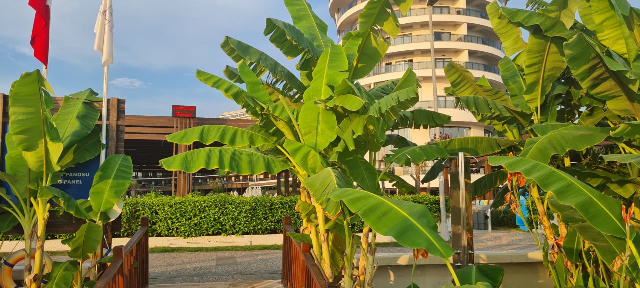 Gartenanlage Seaden Quality Resort & Spa