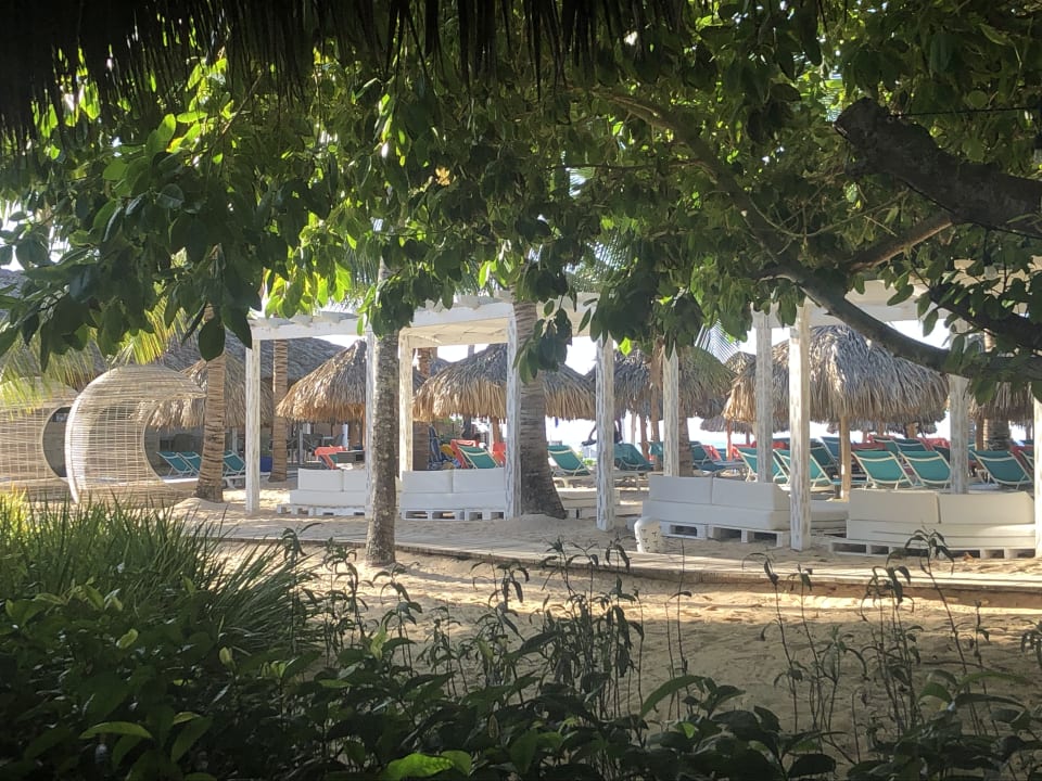 Strand Catalonia Royal La Romana - Adults only