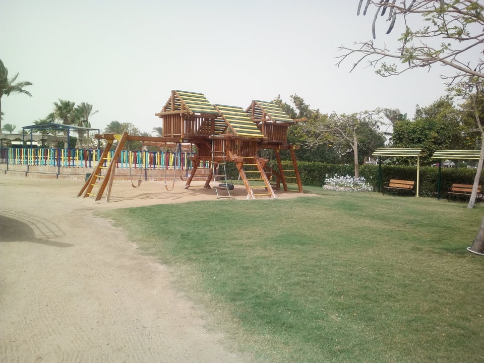 Sport & Freizeit Desert Rose