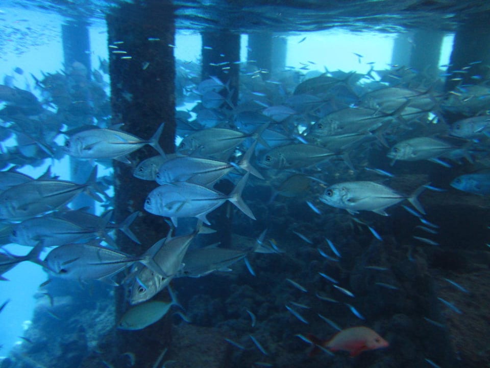 Unter dem Steg Adaaran Select Meedhupparu Island Resort - Premium All Inclusive