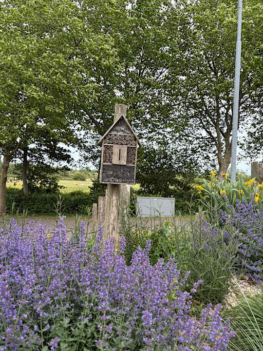 Gartenanlage Roompot Camping De Zandput