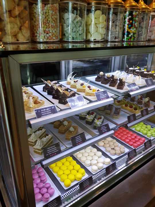 Gastro Acanthus Cennet Barut Collection