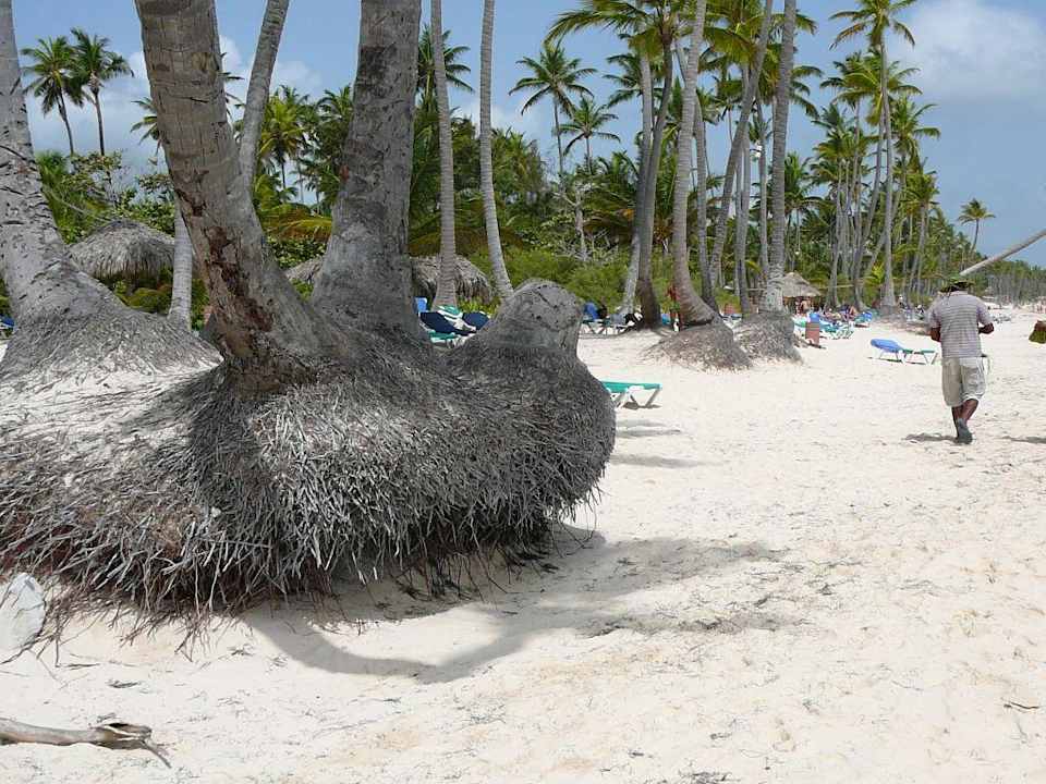 Da fehlt ein bisschen Sand... Hotel Grand Palladium Palace Resort, Spa & Casino