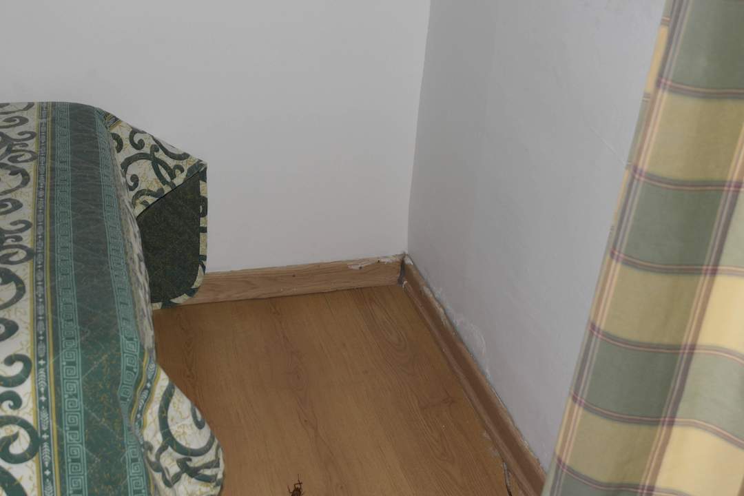 Obdrapana sciana Dodeca Sea Resort