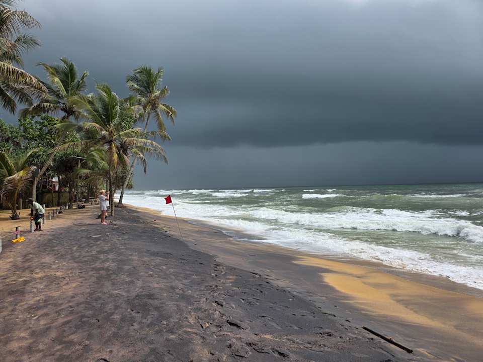Ausblick Mermaid Hotel & Club