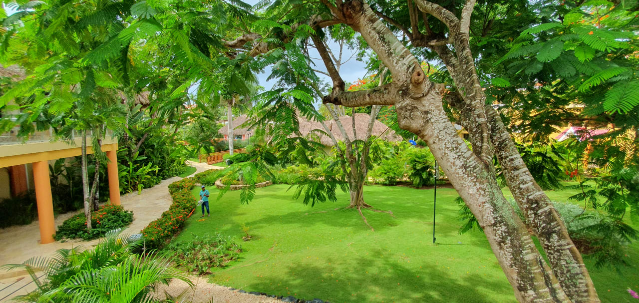 Gartenanlage Hotel Viva Dominicus Palace by Wyndham-All Inclusive Resort