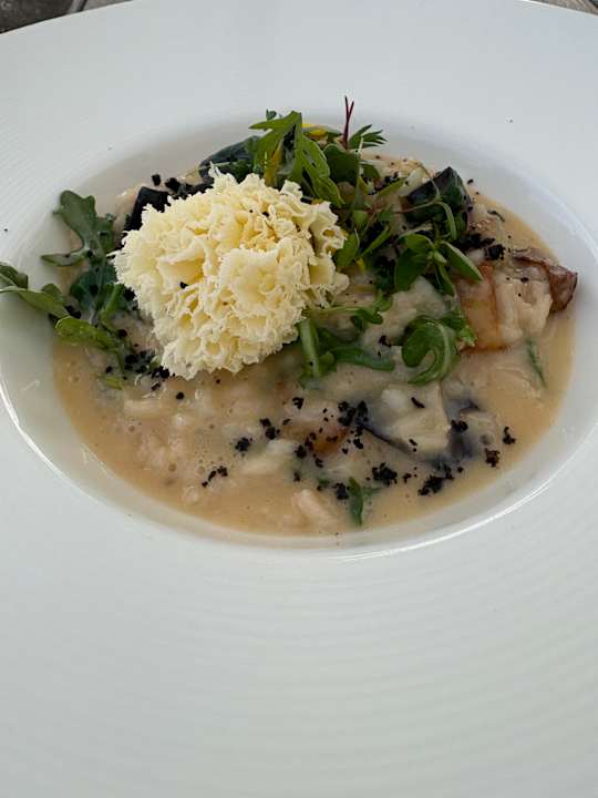 Gastro Seezeitlodge Hotel & Spa