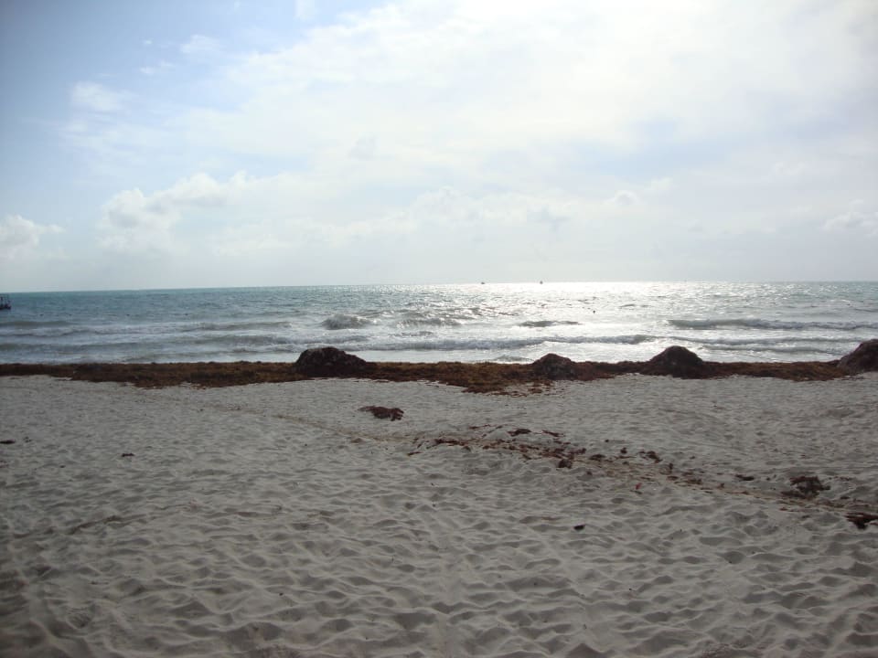 Hotel Catalonia Playa Maroma Catalonia Playa Maroma