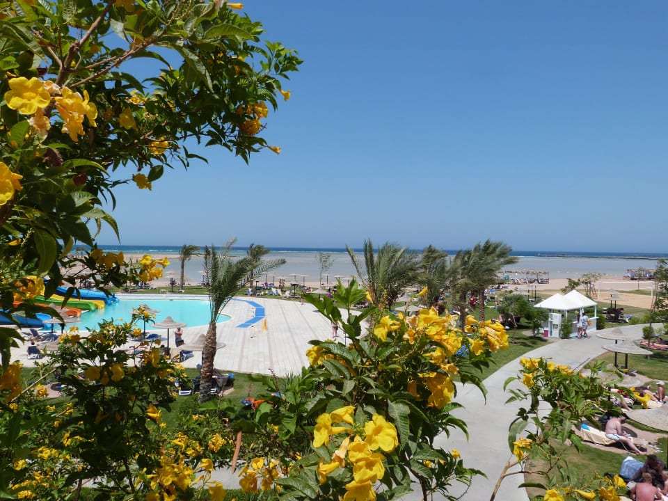 Aquamarine JAZ Aquamarine Resort