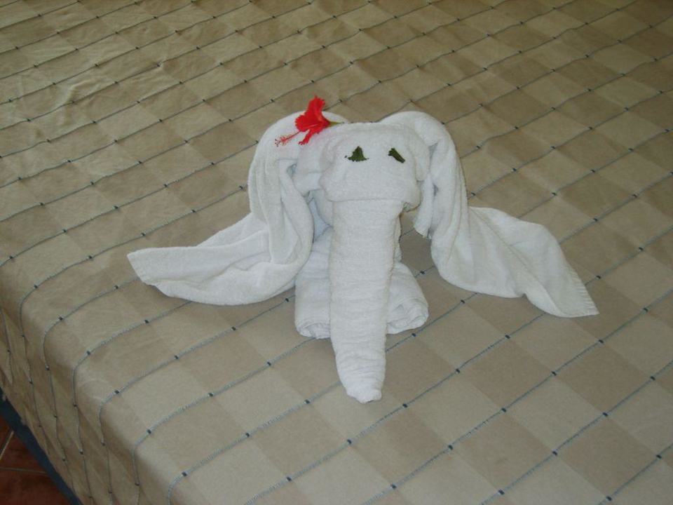 Handtuchfiguren Privilege Cayo Libertad - Adults only