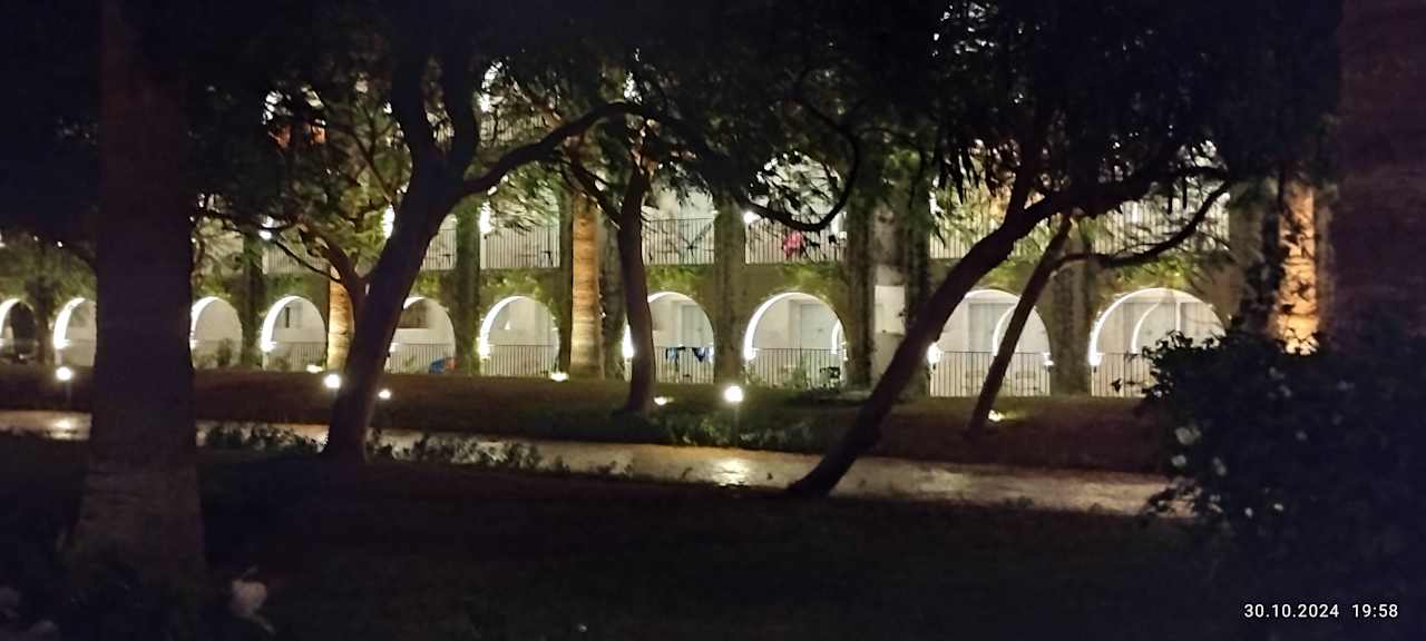 Sonstiges Desert Rose