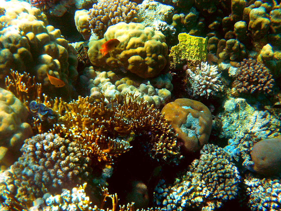 Sport & Freizeit Grand Makadi