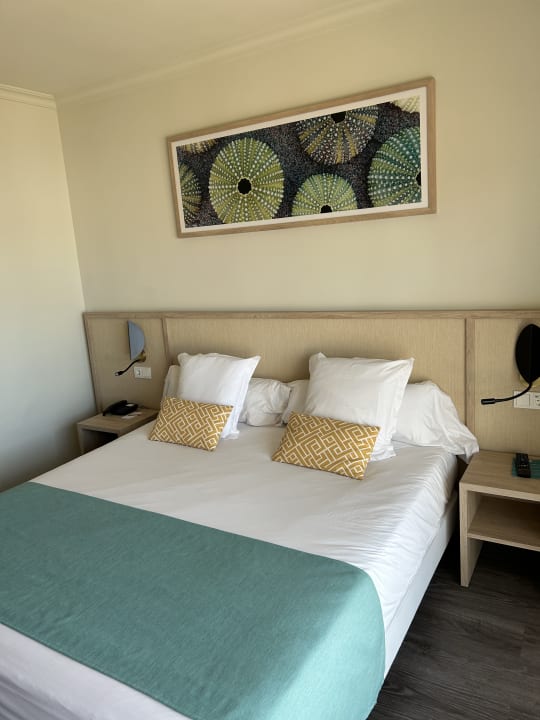 Zimmer AluaSoul Palma