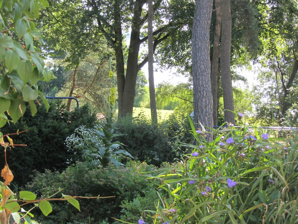 Blick von der Hotelterrasse Strandhotel Goldberg