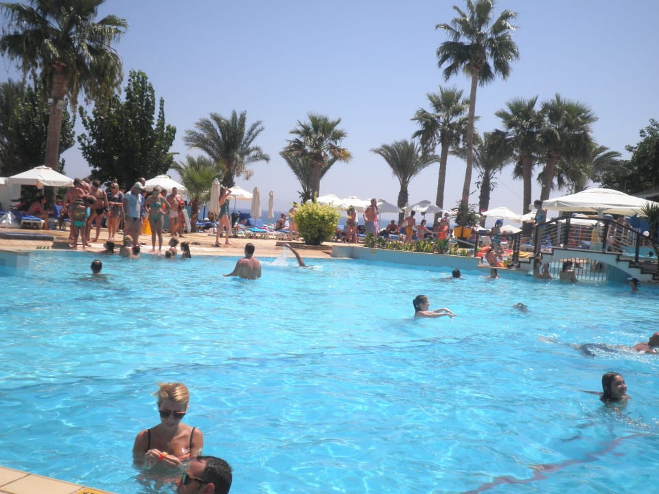 Pool mit Meerblick The Golden Coast Beach Hotel