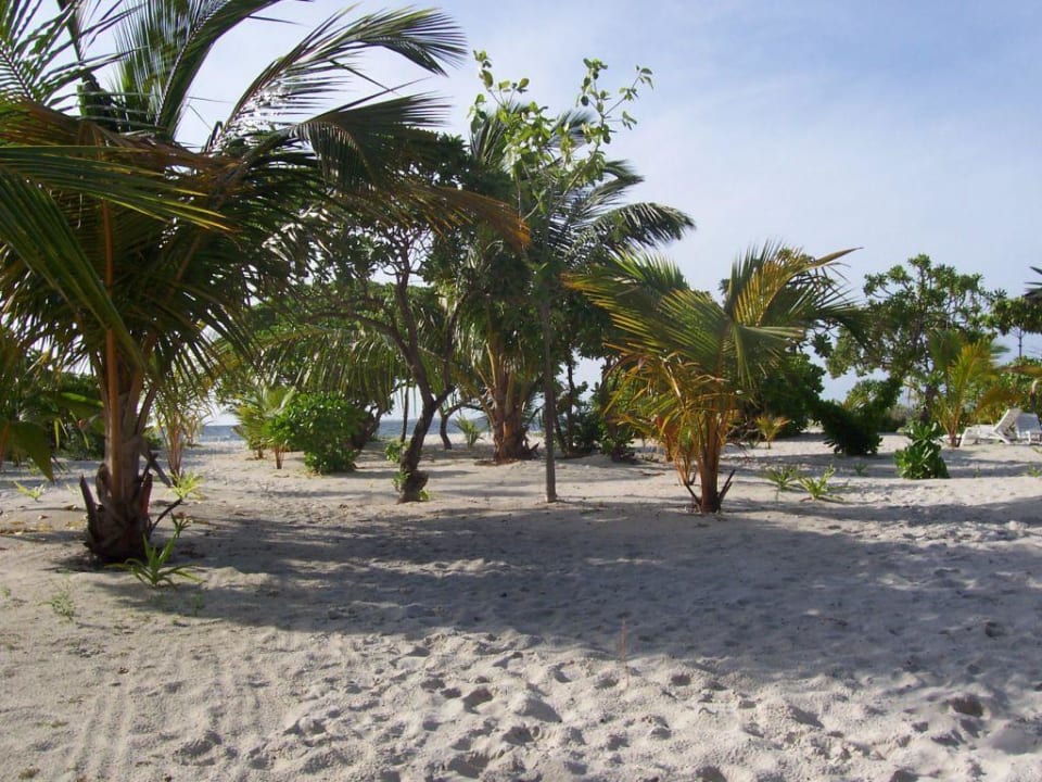 Strand Adaaran Select Meedhupparu Island Resort - Premium All Inclusive