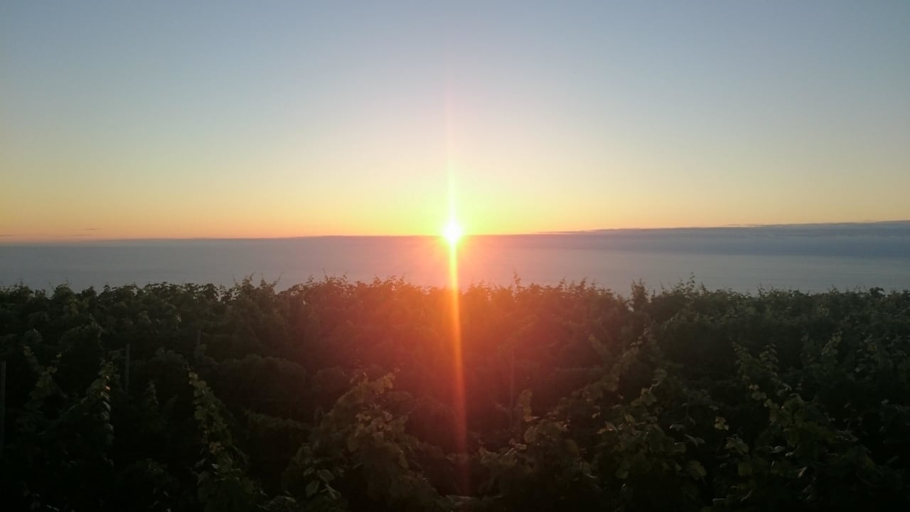 Sonnenuntergang Finca Angelus