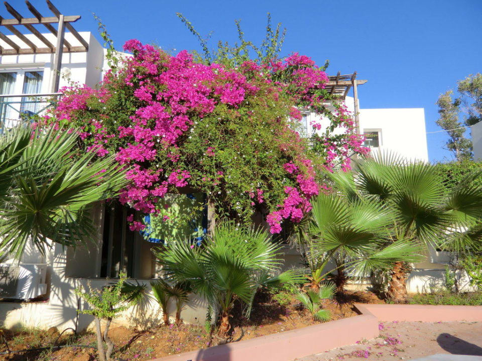 Anlage HARPIN Georgioupolis Resort Aquapark & SPA