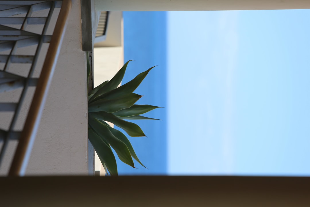 Blick vom Außenflur auf das Meer Hotel Playa Calera