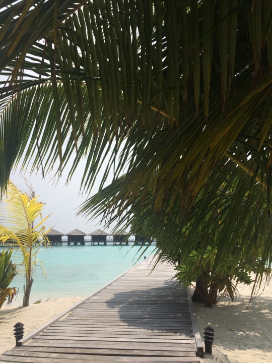 Strand Filitheyo Island Resort