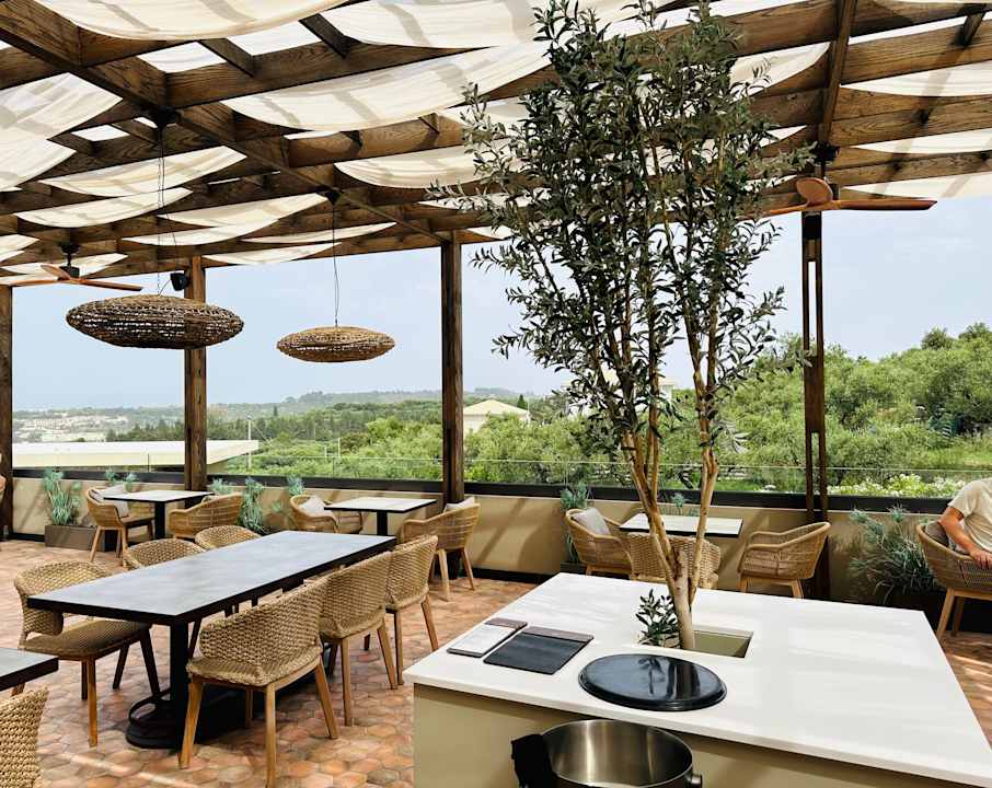 Gastro King Jason Zante – Designed for Adults