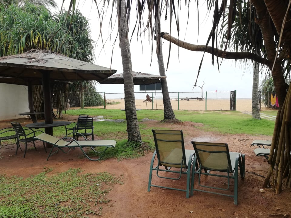 Gartenanlage Coco Royal Beach Resort