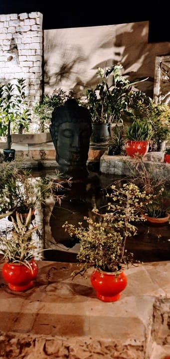 Gartenanlage Hotel Africa Jade Thalasso