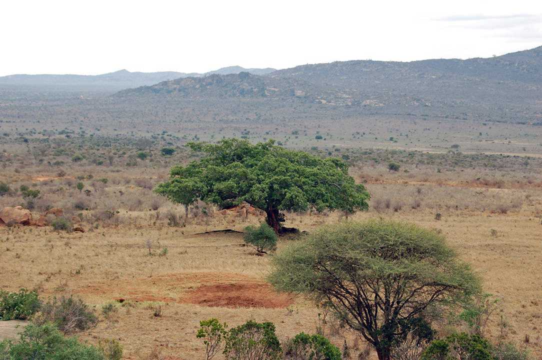 Tsavo West Rhino Valley Lodge