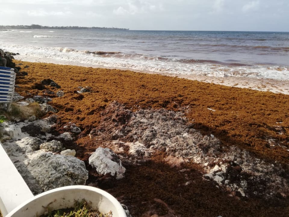 Strand Sea Breeze Beach House - All Inclusive