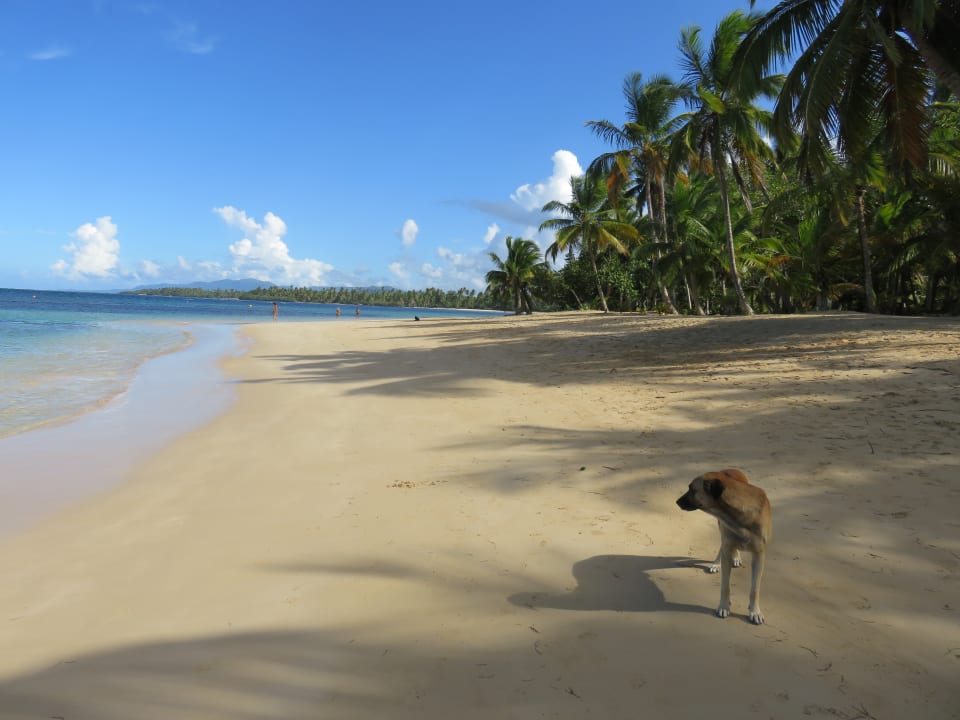 Strand Bahia Principe Grand El Portillo