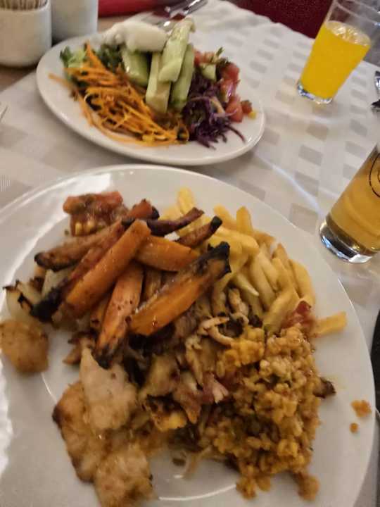 Gastro Seashell Vega