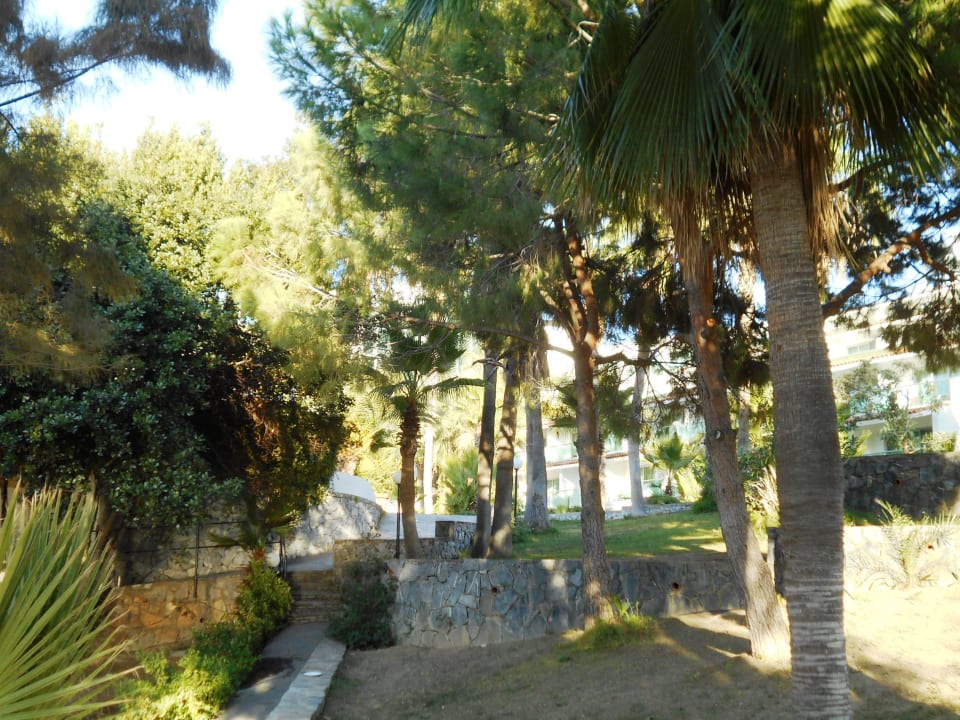 Gartenanlage Hotel Pine Bay Holiday Resort