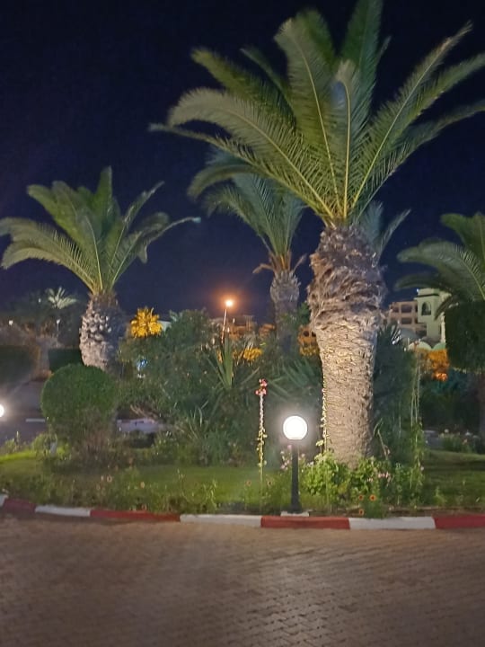 Außenansicht Hotel El Mouradi Palm Marina