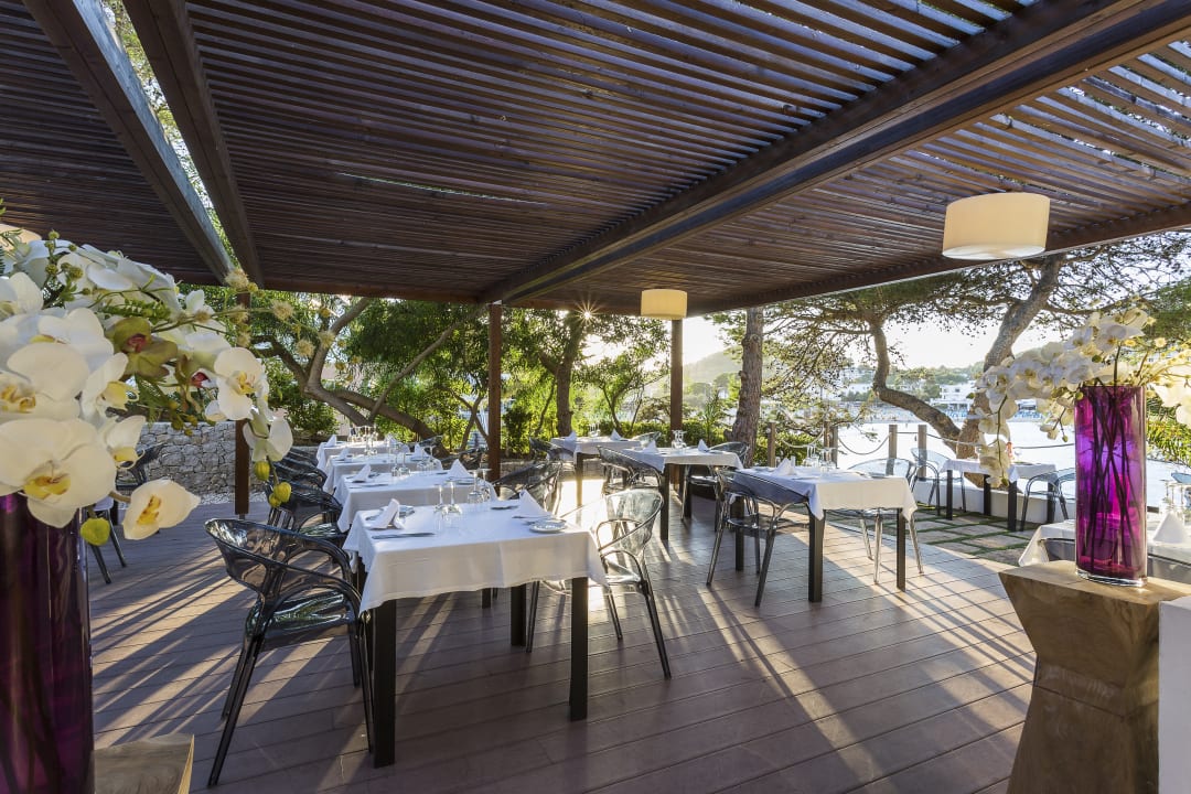 Gastro Palladium Hotel Cala LLonga - Adults only