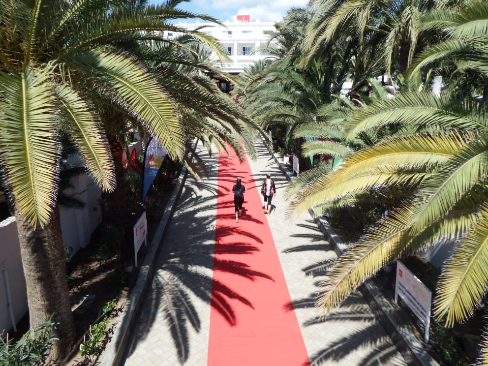 Roter Teppich für die Radler Hotel Riu Palace Maspalomas Adults Only