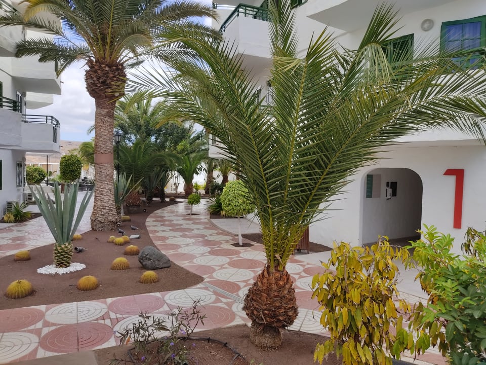 Gartenanlage Servatur Playa Bonita
