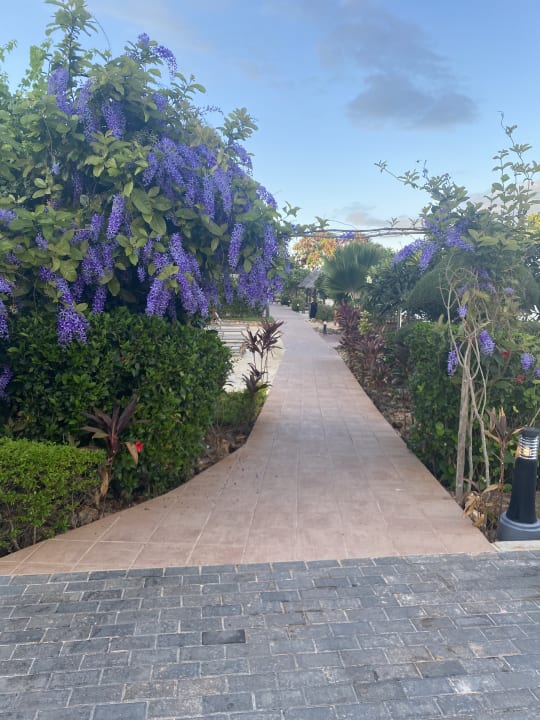 Gartenanlage Hotel Riu Palace Zanzibar