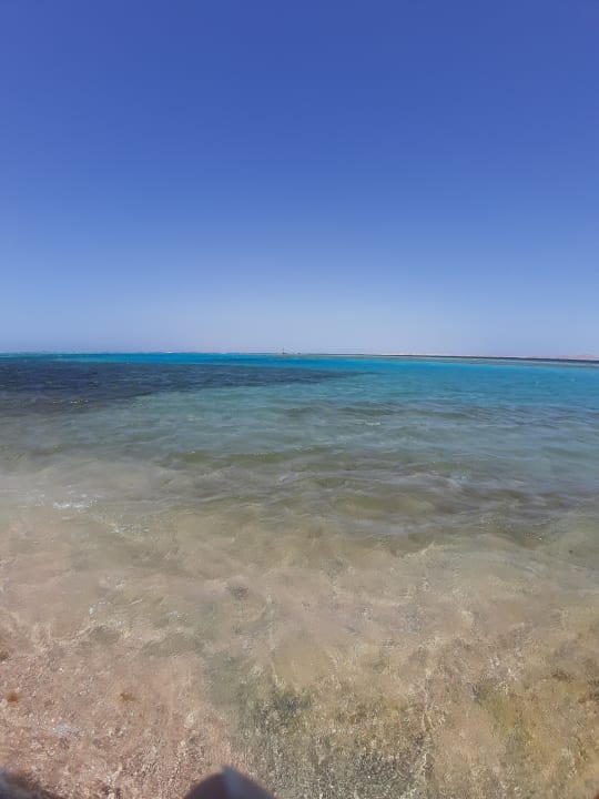 Strand Pickalbatros Palace Resort