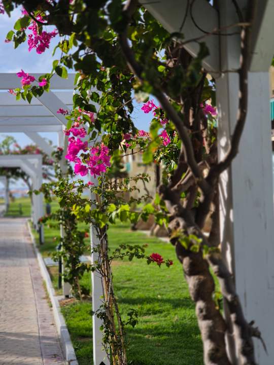 Gartenanlage Lindos Princess Beach Resort & Spa