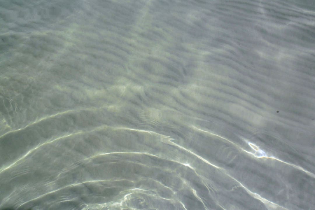 More Alcudia Garden Aparthotel