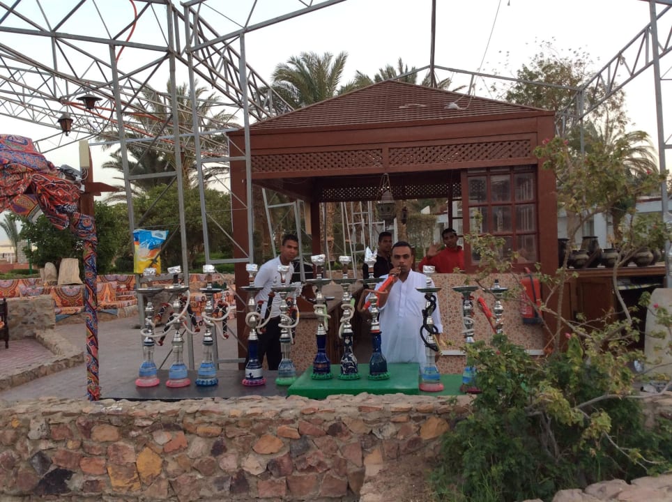 Shisabar Menaville Safaga
