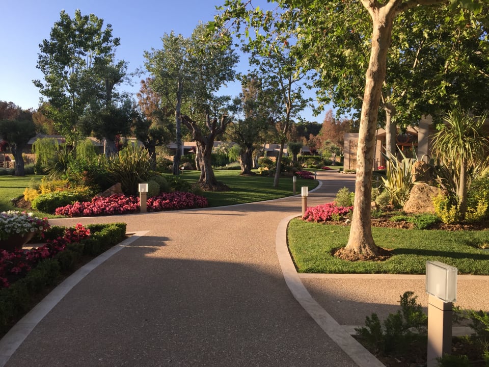 Gartenanlage Sani Asterias